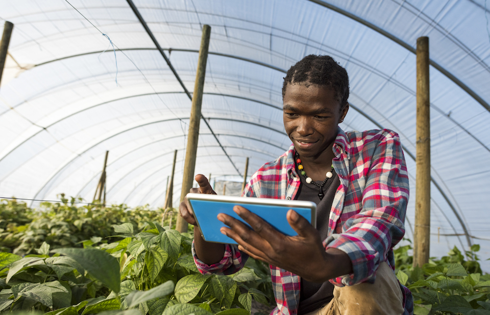 Le numérique, le grand tournant de l’agriculture africaine
