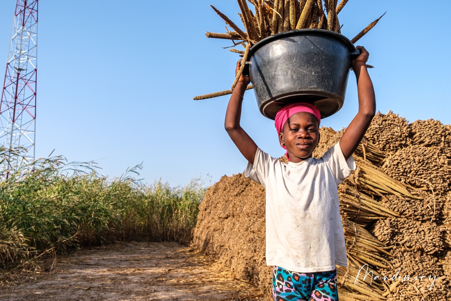 la lutte a enfin payé, Babacar Ngom renonce à « ses » terres, Information Afrique Kirinapost