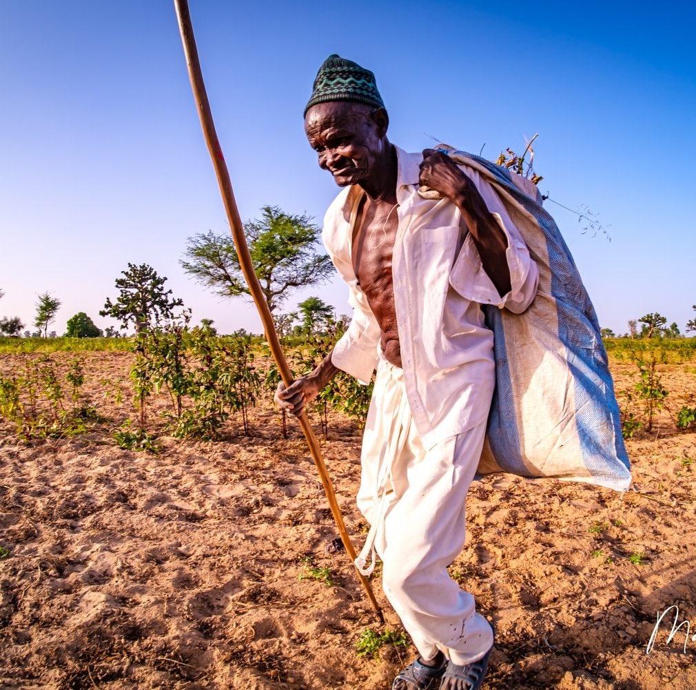 la lutte a enfin payé, Babacar Ngom renonce à « ses » terres, Information Afrique Kirinapost