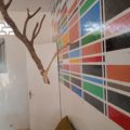 « Toolu xeer » une expo signée Binta Diaw, Information Afrique Kirinapost