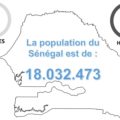 « La basse à l&rsquo;honneur » le 4 novembre à Dakar, Information Afrique Kirinapost