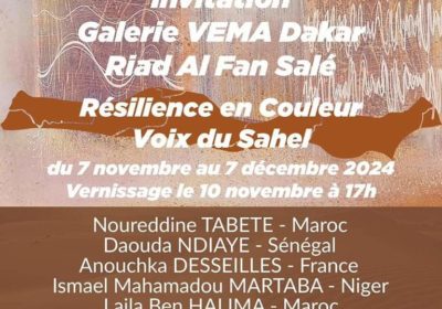 La Galerie Vema met en lumière le Sahel, Information Afrique Kirinapost