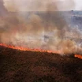 En Amazonie, un record historique de feux de forêt en 2024, Information Afrique Kirinapost