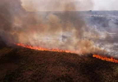 En Amazonie, un record historique de feux de forêt en 2024, Information Afrique Kirinapost