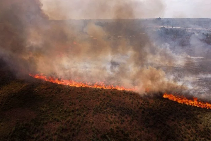 En Amazonie, un record historique de feux de forêt en 2024, Information Afrique Kirinapost