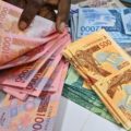 Vers une souveraineté monétaire : Les défis du Sénégal pour dépasser le Franc CFA, Information Afrique Kirinapost