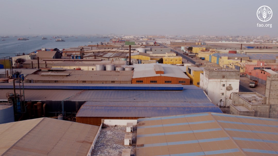 « Sardinelles &#8211; une responsabilité partagée »,sélectionné pour le  Festival International du Film Environnemental de Gabès en Tunisie, Information Afrique Kirinapost