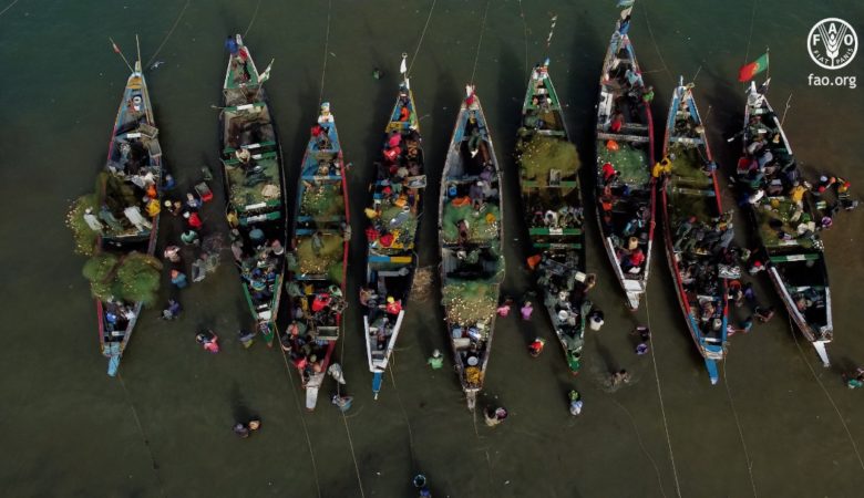 « Sardinelles &#8211; une responsabilité partagée »,sélectionné pour le  Festival International du Film Environnemental de Gabès en Tunisie, Information Afrique Kirinapost