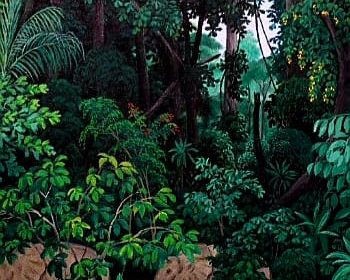 Ode à la terre centrafricaine:  Le murmure de la forêt qui pousse, Information Afrique Kirinapost