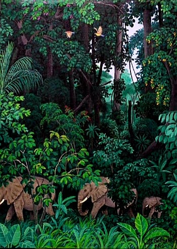 Ode à la terre centrafricaine:  Le murmure de la forêt qui pousse, Information Afrique Kirinapost