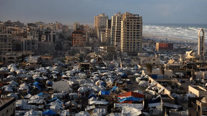 « Vivre sous la loi de la jungle » (Par Rami Abou Jamous), Information Afrique Kirinapost