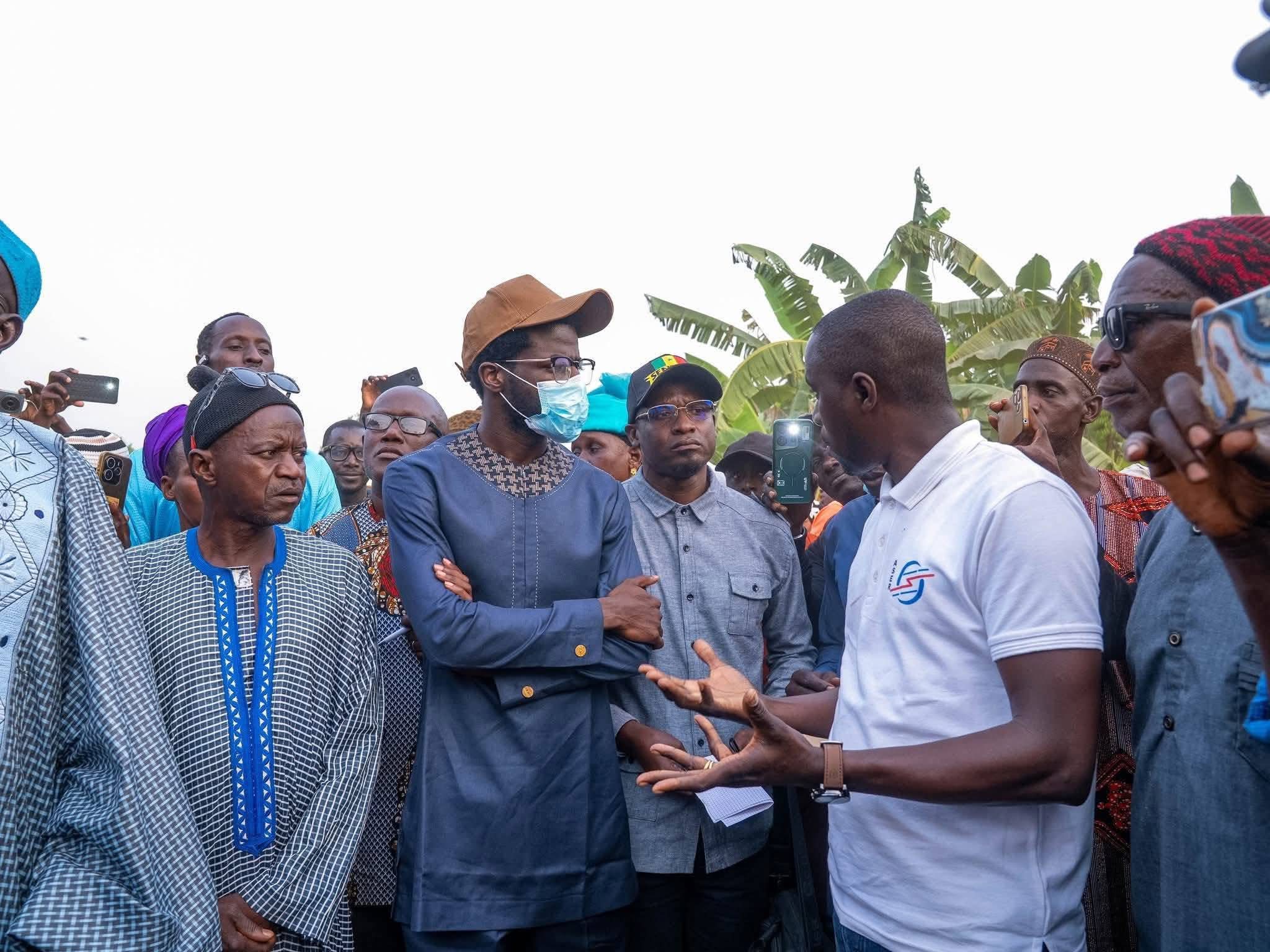 Bananeraie de Mangaroungou Douma: fin de la dépendance au carburant grâce au solaire, Information Afrique Kirinapost