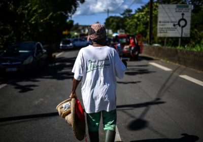 Chlordécone : En France, 500 parties civiles se pourvoient en cassation, Information Afrique Kirinapost
