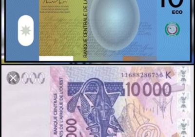 L’ECO, vers un CFA bis ?, Information Afrique Kirinapost