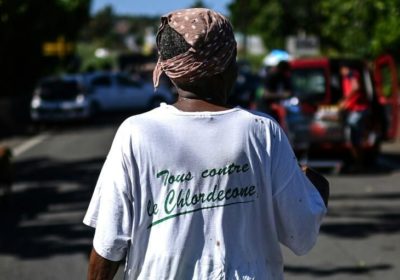 Chlordécone : 500 parties civiles se pourvoient en cassation, Information Afrique Kirinapost