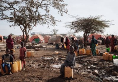 État de la sécurité alimentaire et de la nutrition dans le monde en 2026, Information Afrique Kirinapost