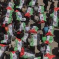 Le monde entier veut interdire l’accès des réseaux sociaux aux enfants, mais cela aura de graves conséquences pour nous tous, Information Afrique Kirinapost